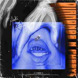 Andi Krush - Diamonds 'N' Pussys download free