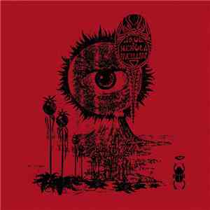 Aqua Nebula Oscillator - Caves Recordings 1998-2008 download free