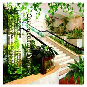 猫 シ Corp. - Cosmopolitan Dreams / Sunday Television download free