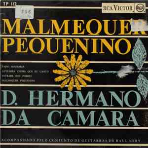 D. Hermano Da Câmara - Malmequer Pequenino download free
