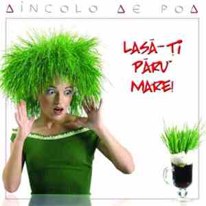 Dincolo De Pod - Lasă-ţi Păru' Mare download free