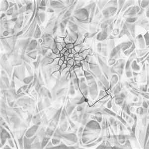 Ego Collapse - Mushroom Place In The Sludge Forest download free