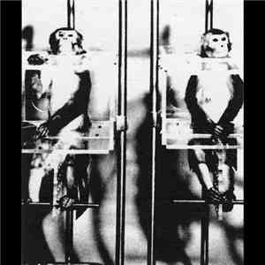 Frame By Flame - The Executive Monkey Experiment download free