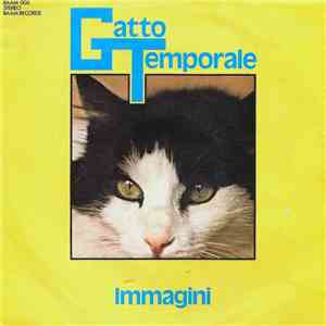 Gatto Temporale - Immagini download free