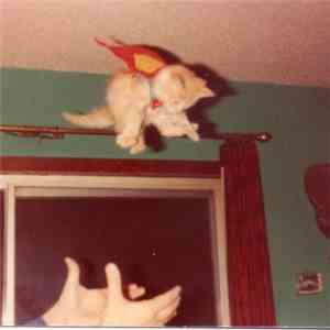 L.A. Witch - Your Ways download free