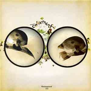 Maguett - Ceramicboy download free
