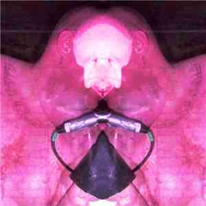 Pee Six & Friends - Thee Beast Ov Pee Six Vol 2 - Live Collaborations download free