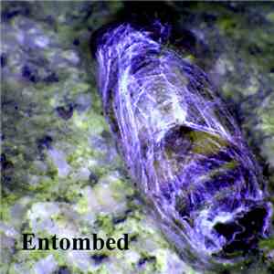 Ploof - Entombed download free