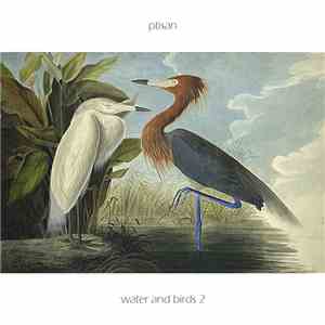 Ptisan - Water And Birds 02 download free