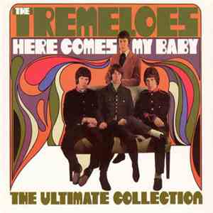 The Tremeloes - Here Comes My Baby - The Ultimate Collection download free