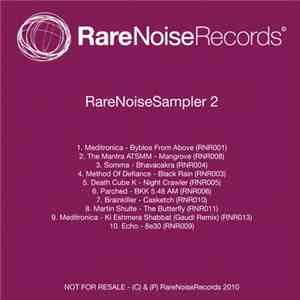 Various - RareNoiseSampler 2 download free