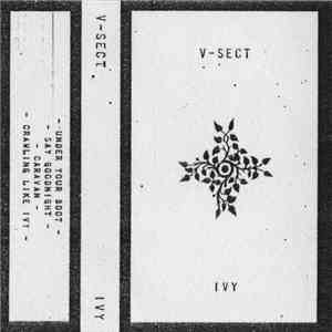 V-Sect - Ivy download free