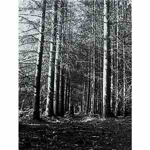 Winterbourne - Demo download free